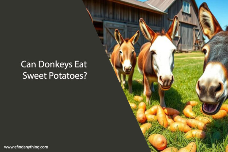 Can Donkeys Eat Sweet Potatoes