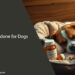 Trazodone for Dogs