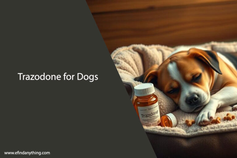 Trazodone for Dogs