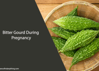 Bitter Gourd During Pregnancy