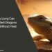 How Long Can Bearded Dragons Go Without Heat