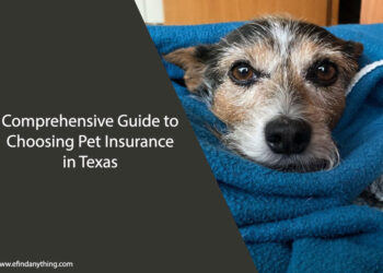 Pet Insurance in Texas