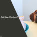 Can Dogs Eat Raw Chicken