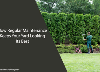 How Regular Maintenance Keeps Your Yard