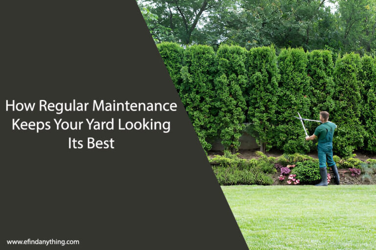 How Regular Maintenance Keeps Your Yard