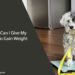 What Can I Give My Dog To Gain Weight