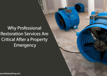 Professional Restoration Services
