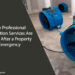 Professional Restoration Services