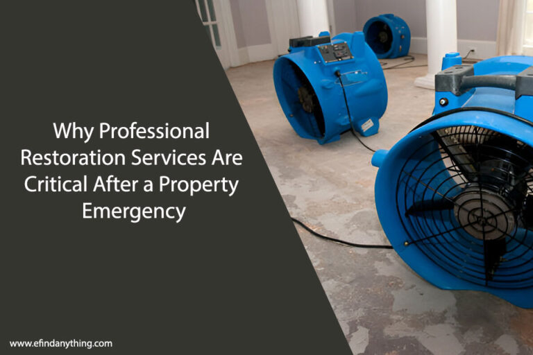 Professional Restoration Services