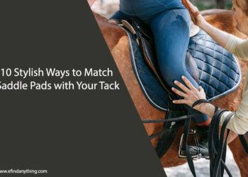 10 Stylish Ways to Match Saddle Pads with Your Tack