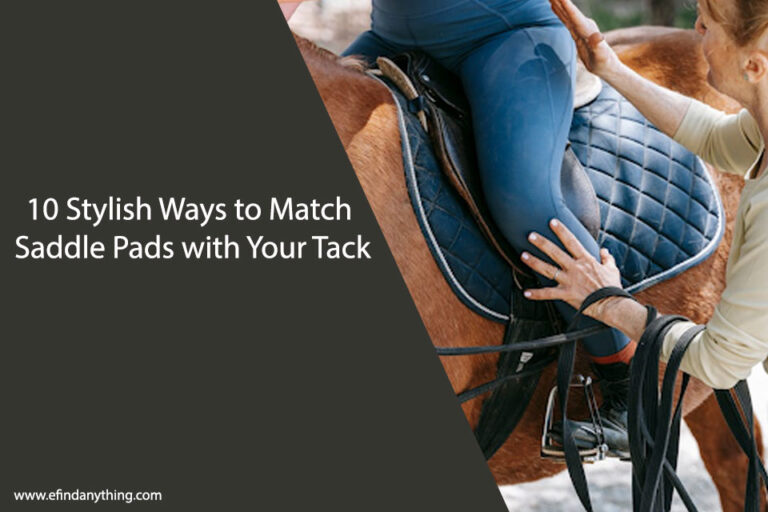 10 Stylish Ways to Match Saddle Pads with Your Tack