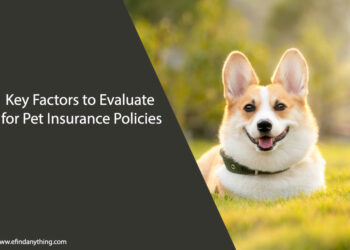 Key Factors to Evaluate for Pet Insurance Policies
