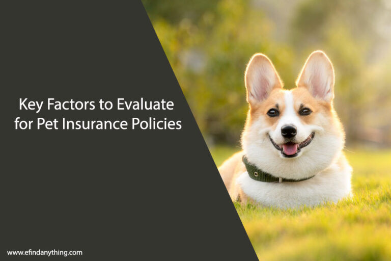 Key Factors to Evaluate for Pet Insurance Policies