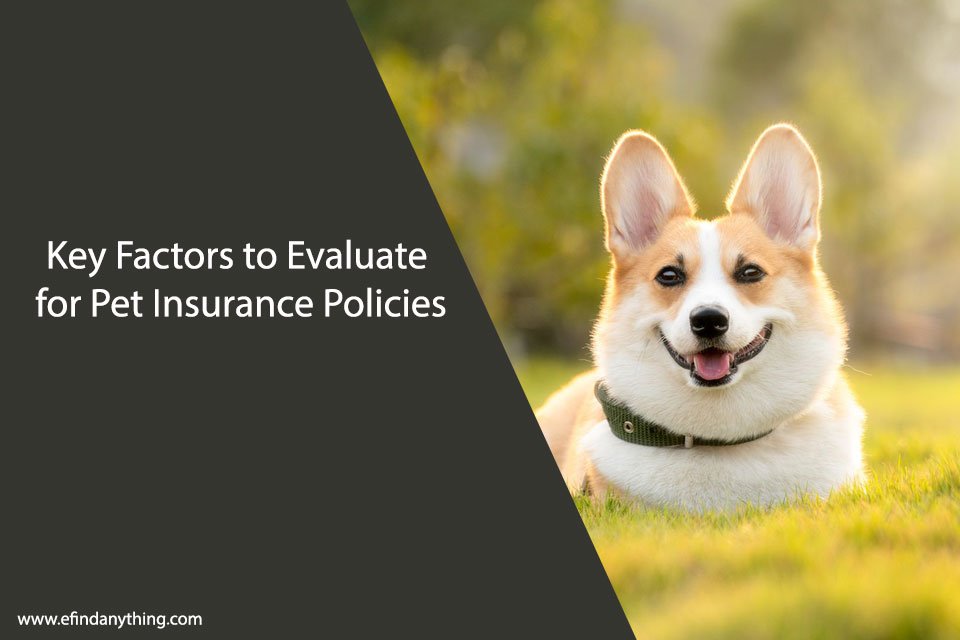 Key Factors to Evaluate for Pet Insurance Policies