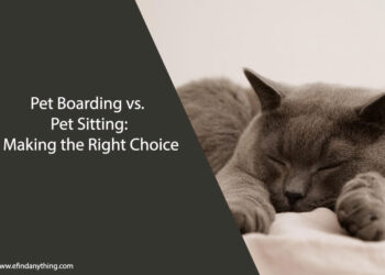 Pet Boarding vs. Pet Sitting