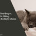 Pet Boarding vs. Pet Sitting