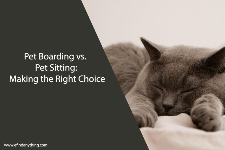 Pet Boarding vs. Pet Sitting