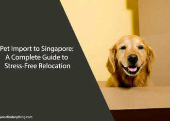 Pet Import to Singapore
