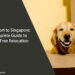 Pet Import to Singapore