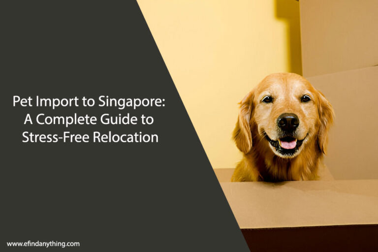 Pet Import to Singapore