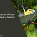 Top Tools for Efficient Yard Work in Fairfield