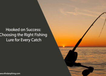 Hooked on Success: Choosing the Right Fishing Lure for Every Catch