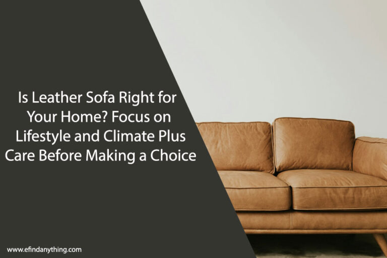 Is Leather Sofa Right for Your Home