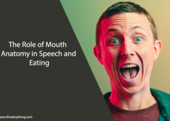 The Role of Mouth Anatomy in Speech and Eating