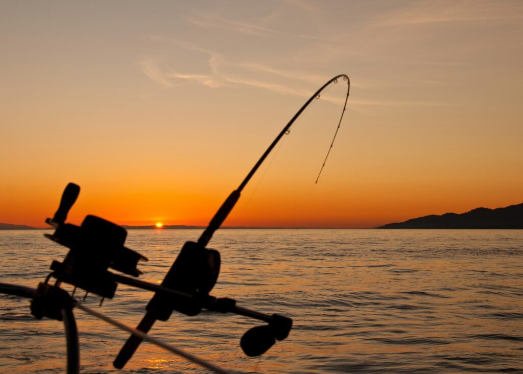 Fishing Lure