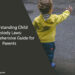 Understanding Child Custody Laws