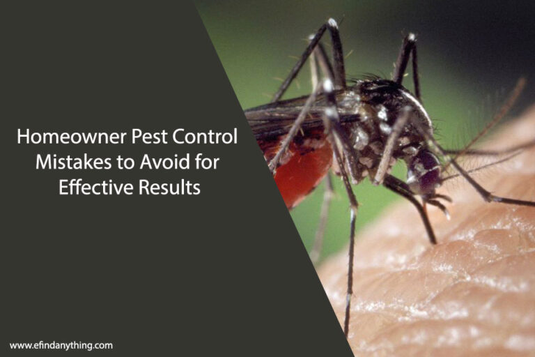 Homeowner Pest Control Mistakes to Avoid for Effective Results