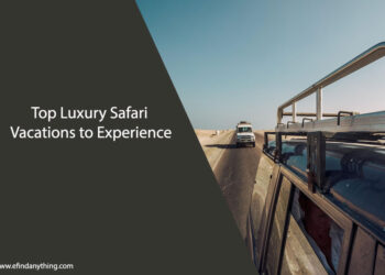 Luxury Safari Vacations
