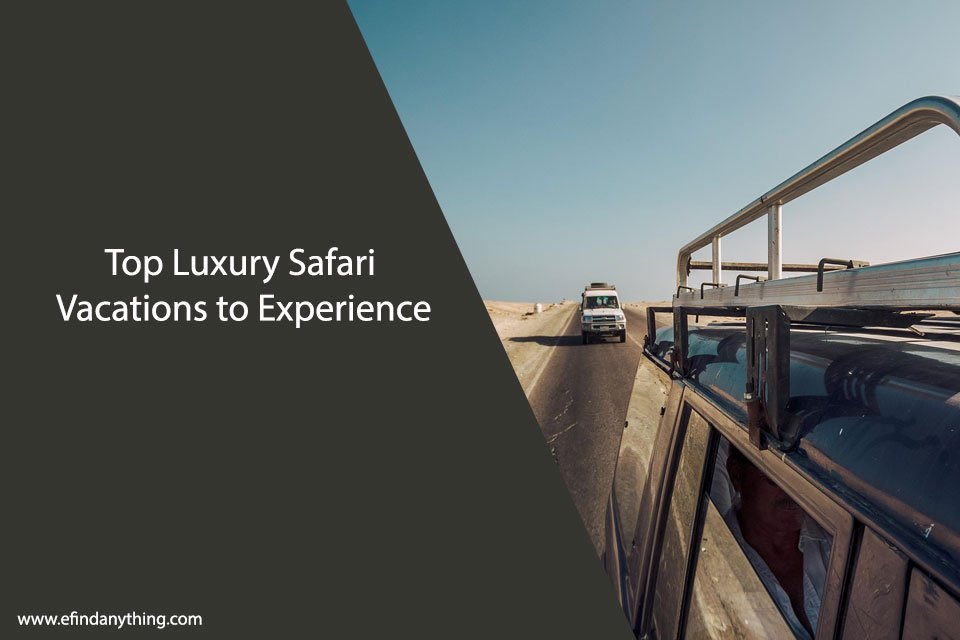 Luxury Safari Vacations