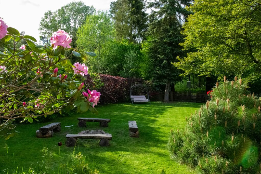 Backyard Designs