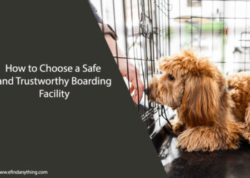 How to Choose a Safe and Trustworthy Boarding Facility