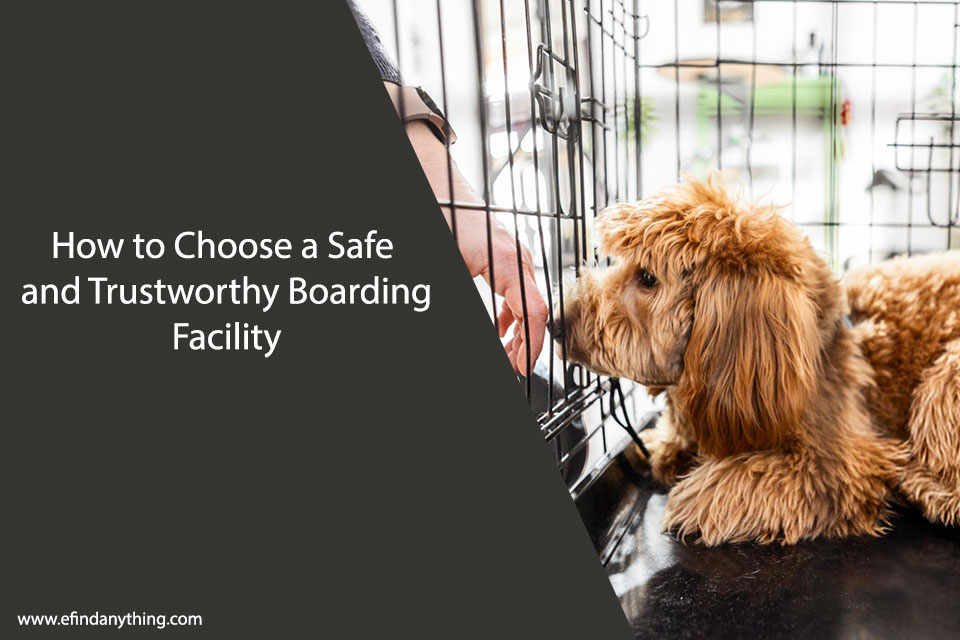 How to Choose a Safe and Trustworthy Boarding Facility