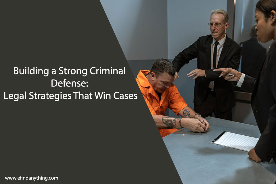 Building a Strong Criminal Defense