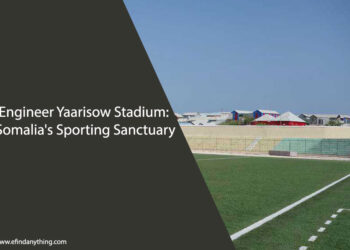 Engineer Yaarisow Stadium