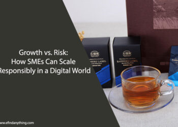 Growth vs. Risk: How SMEs Can Scale Responsibly in a Digital World