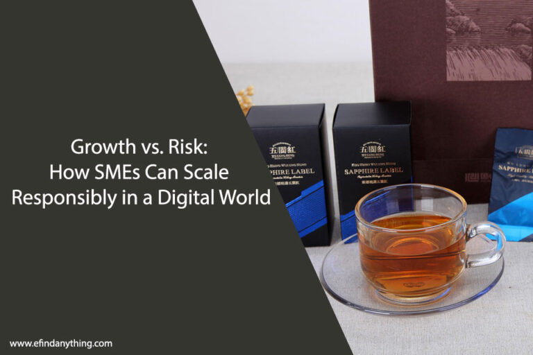 Growth vs. Risk: How SMEs Can Scale Responsibly in a Digital World