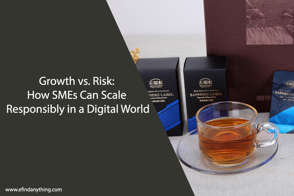 Growth vs. Risk: How SMEs Can Scale Responsibly in a Digital World