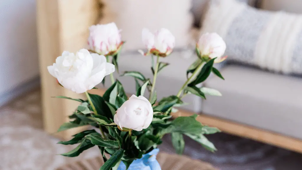 Autumn flowers