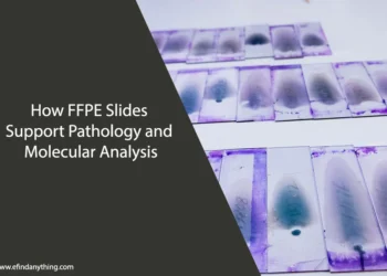 How FFPE Slides Support Pathology and Molecular Analysis