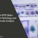 How FFPE Slides Support Pathology and Molecular Analysis