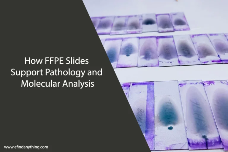How FFPE Slides Support Pathology and Molecular Analysis