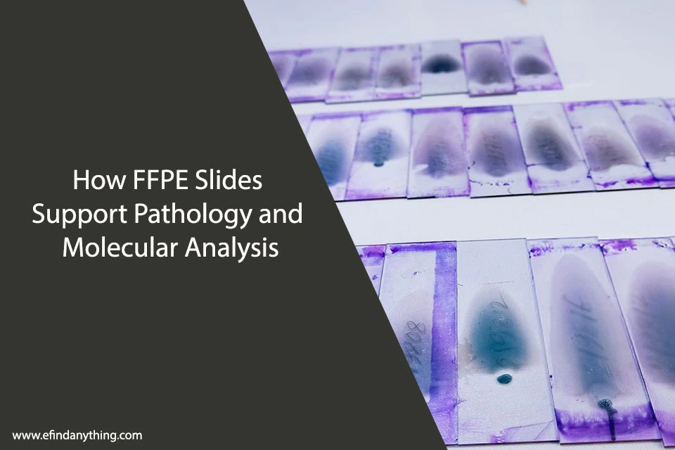 How FFPE Slides Support Pathology and Molecular Analysis