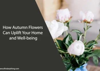 How Autumn Flowers Can Uplift Your Home and Well-being