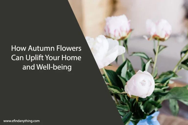 How Autumn Flowers Can Uplift Your Home and Well-being