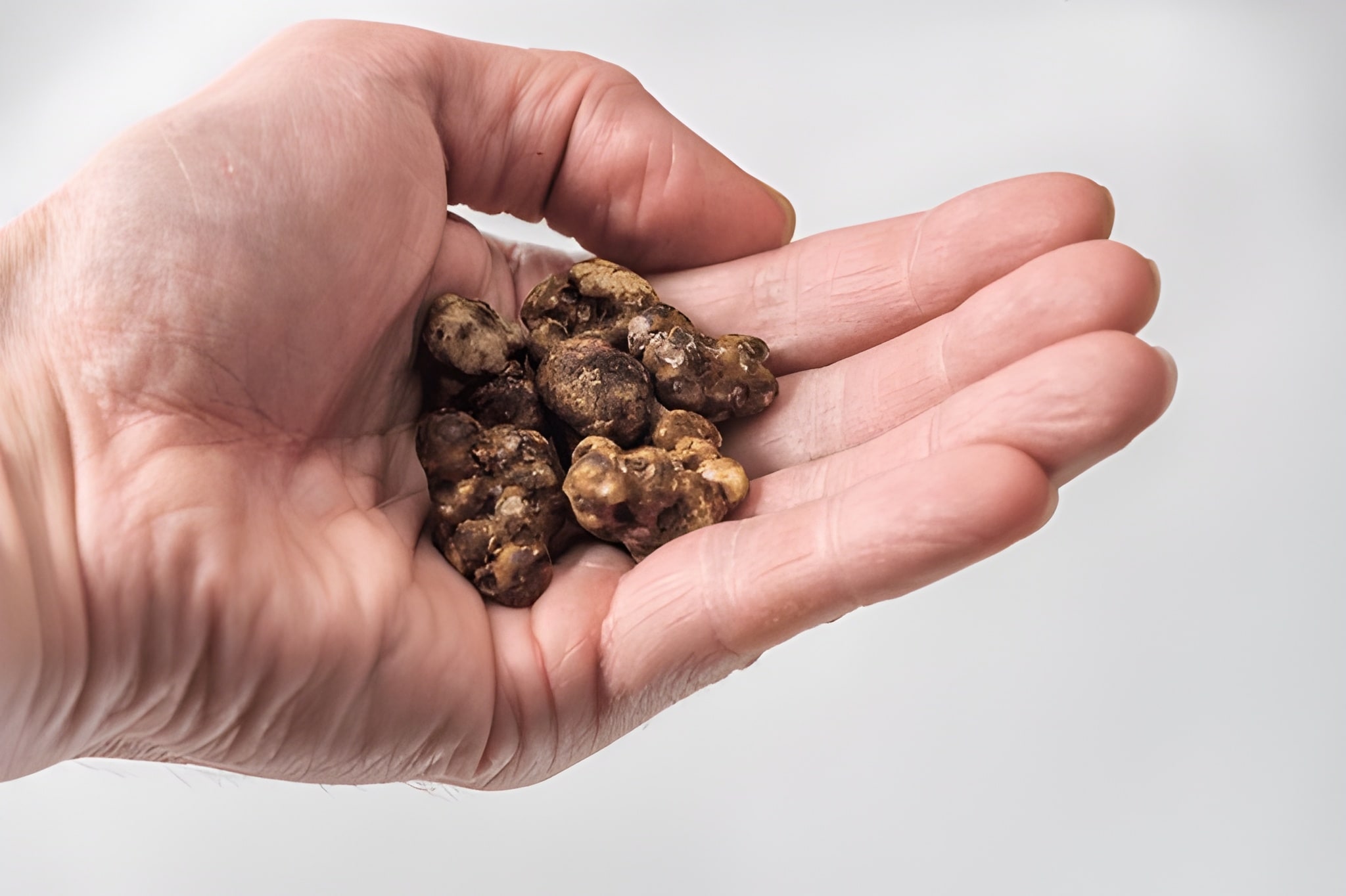 Magic Truffles