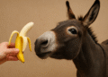 Can Donkeys Eat Bananas